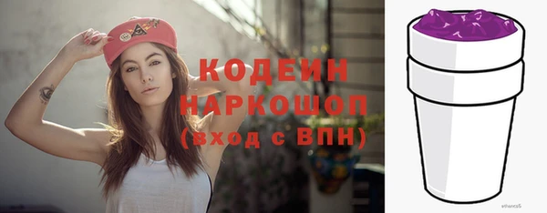 меф Арсеньев